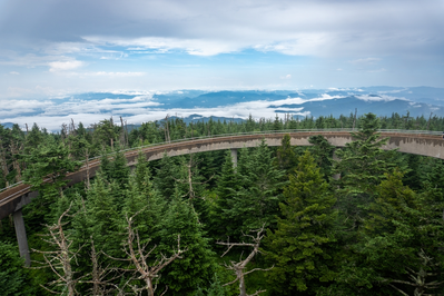 Clingmans Dome in the Smoky Mountains