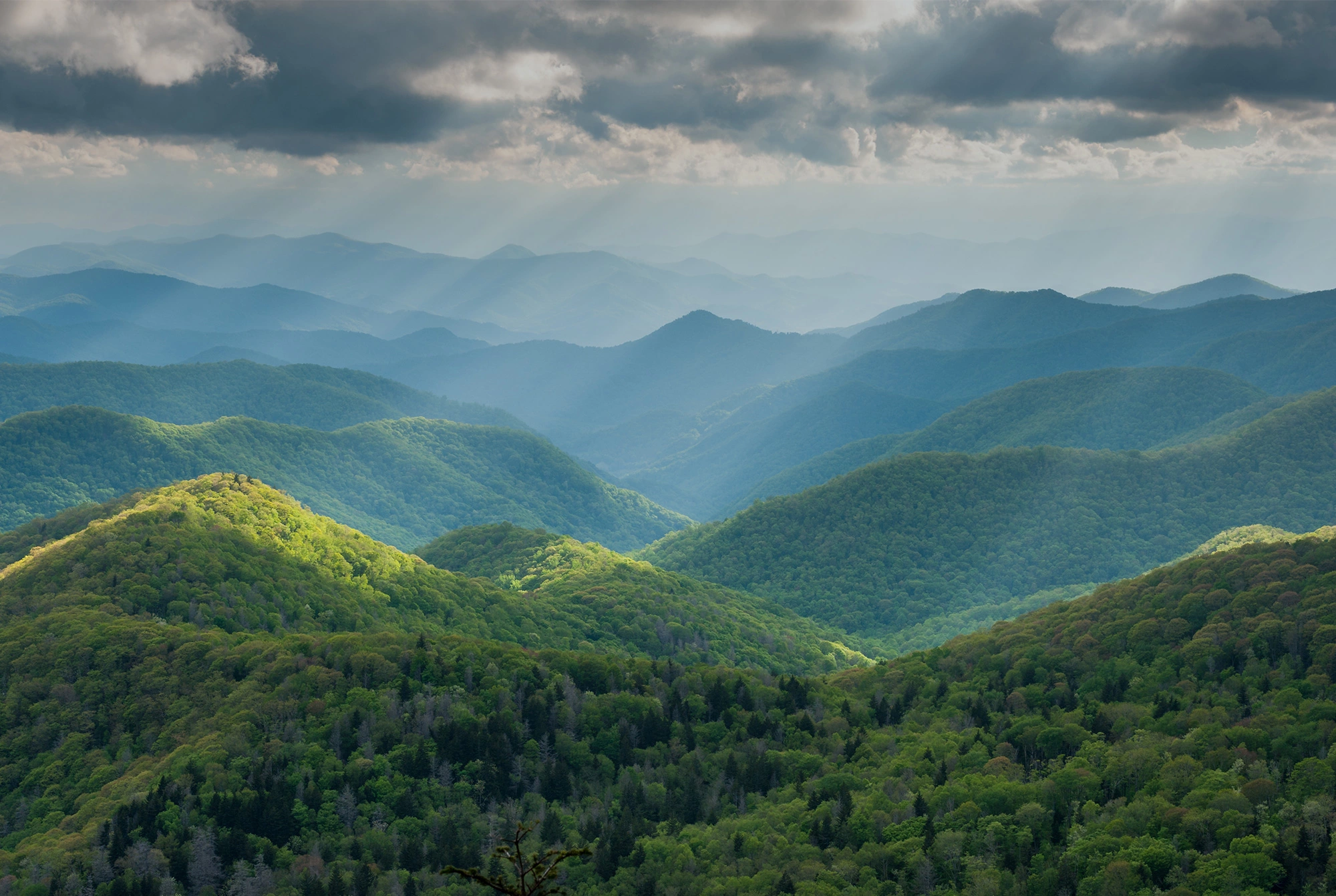 Smoky Mountains