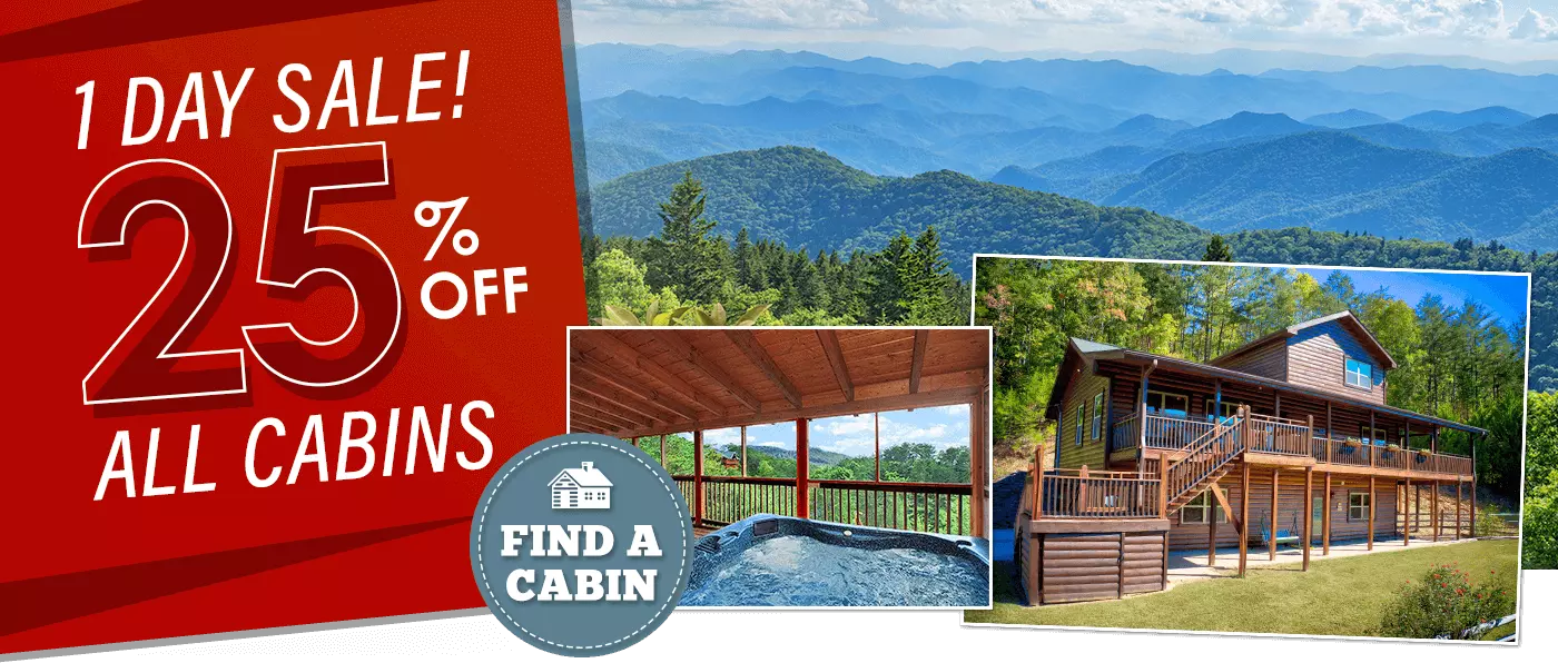 1 Day Cabin Sale