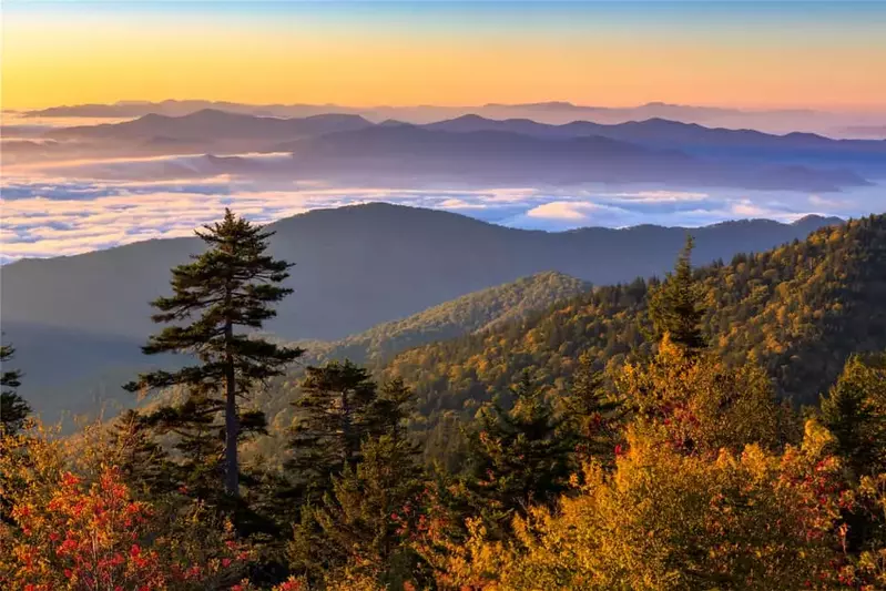 autumn colors in the Smokies