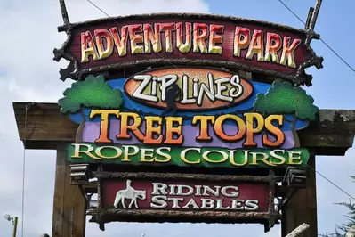 Adventure Park Ziplines