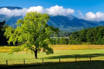 cades cove