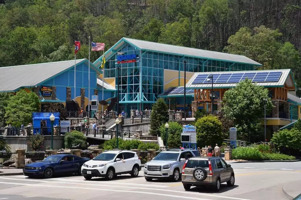 Ripley's Aquarium in Gatlinburg