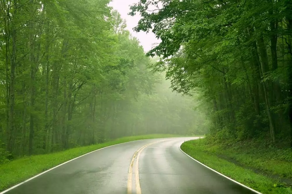 rainy day in the Smoky Mountains