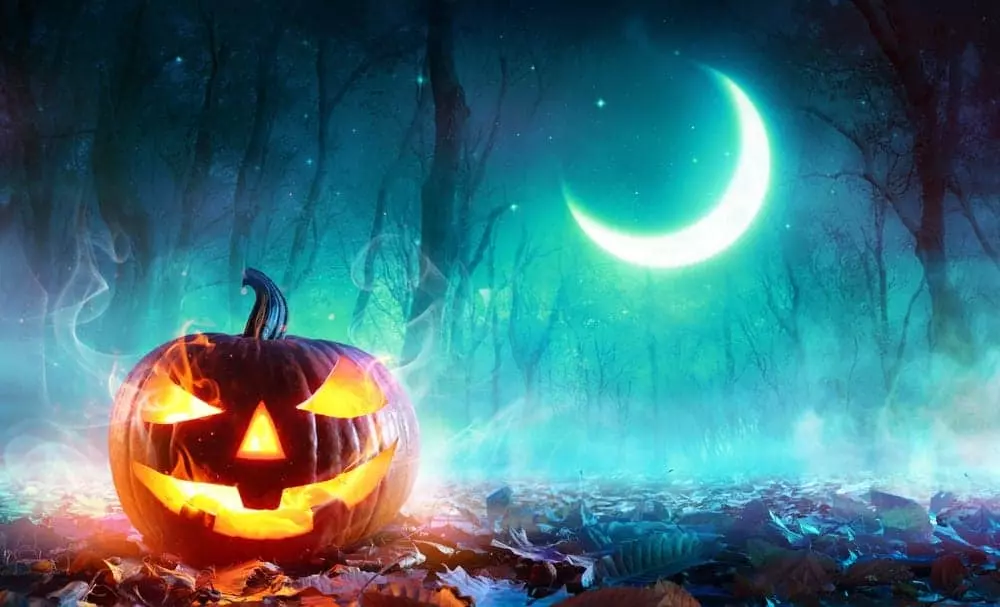 A glowing jack-o'-lantern in the forest with a crescent moon in the sky.