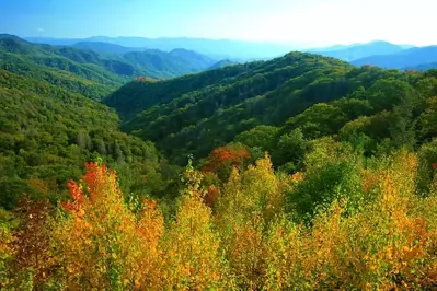 Fall colors in the Smoky Mountains.