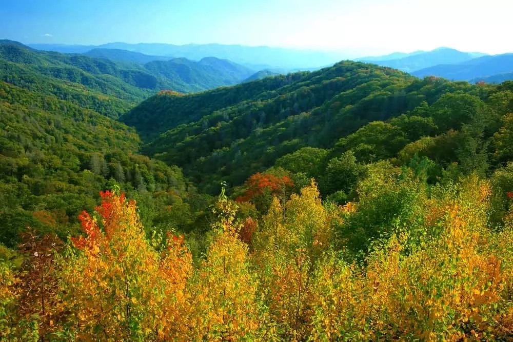 Fall colors in the Smoky Mountains.