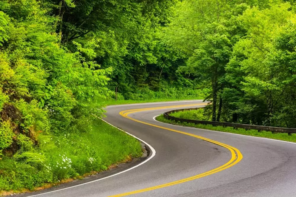 Newfound Gap Road near our Gatlinburg vacation cabins.