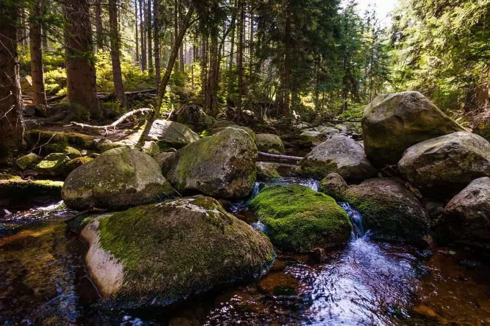 water flowing around boulders in Smoky Mountain stream