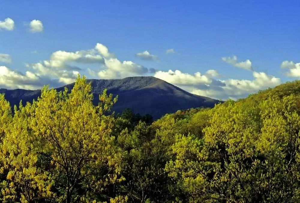 view of Mt LeConte Smoky Mountains hiking trails