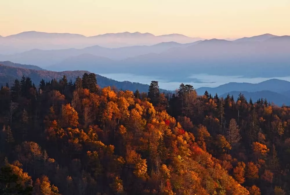 fall colors in the Greast Smoky Mountains