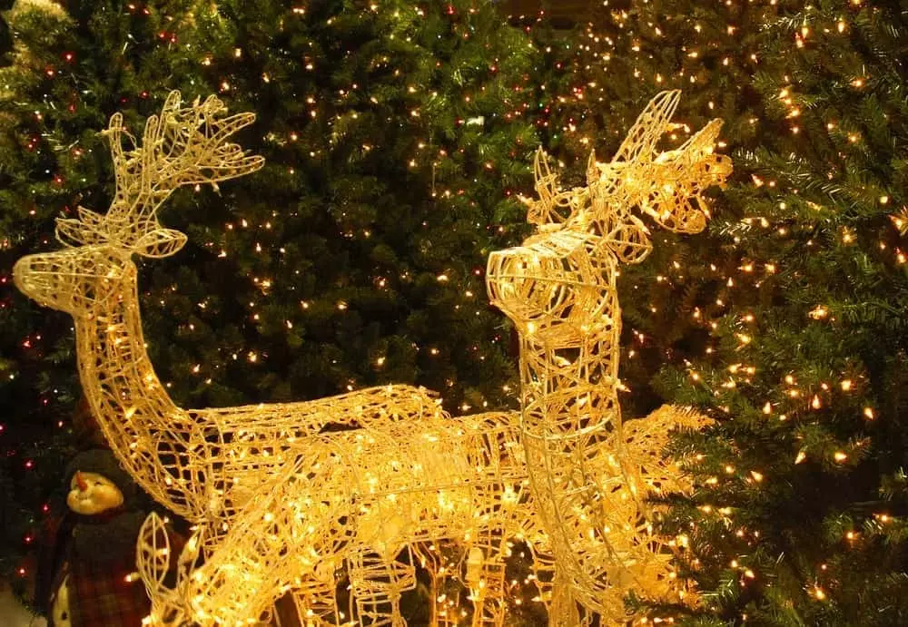 Reindeer Christmas lights in Galtinburg