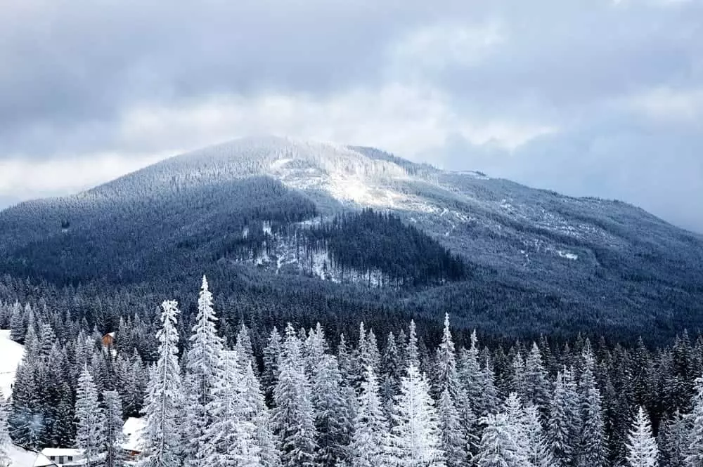 winter vacation in the Smoky Mountains