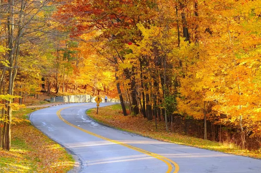 fall Smoky Mountain drive with yellow leaves