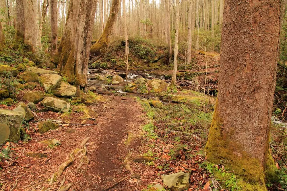 elkmont nature trail is one of the best easy Smoky Mountain hikes 