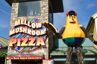 mellow mushroom sign and character at the island in pigeon forge