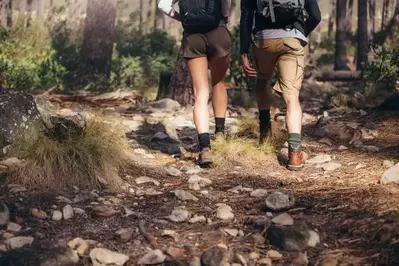 hikers going up a trail in the mountains