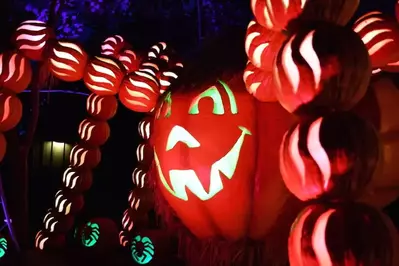 pumpkins at Dollyood's Great Pumpkin LumiNights