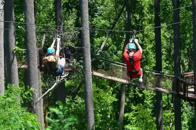zipline