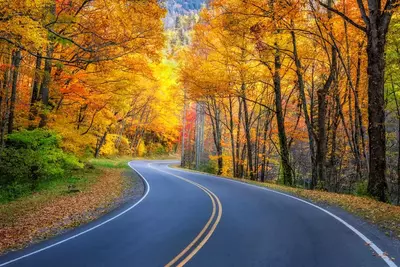 fall-road-smokies