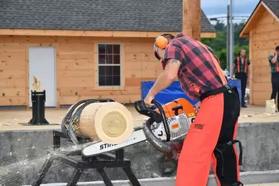 lumberjack sawing during show