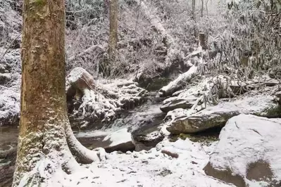 snowy hiking trail in the smoky mountains