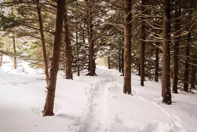 winter hiking trail in the smoky mountains