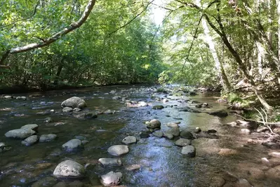 River along Gatlinburg Trail