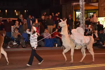 Girl walking llama in Christmas Parade in Gatlinburg Tn