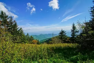 The Appalachian Trail in the Smoky Mountains