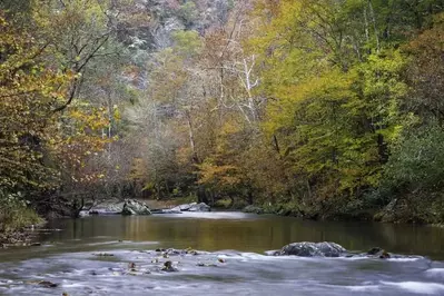 A river and trees in the Smokies in late fall.