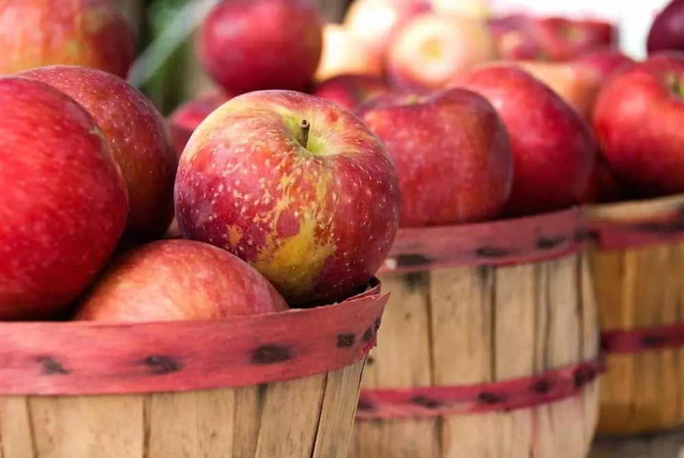 Baskets of apples.