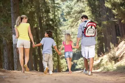 A family of four walking in the woods.