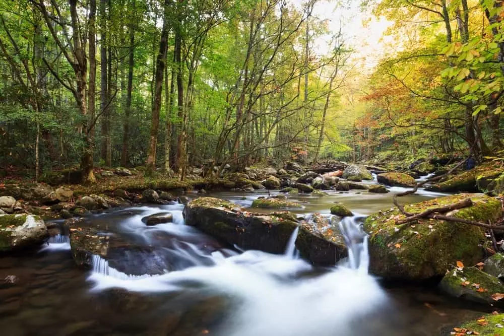 Water flowing over rocks in fall in Smoky Mountain stream