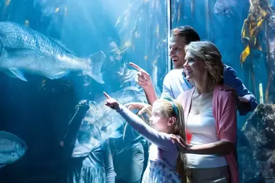 Happy family at an aquarium.