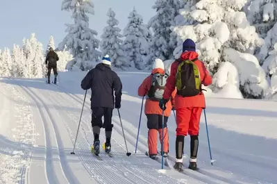 A group of people enjoying cross-country skiing in the snow.