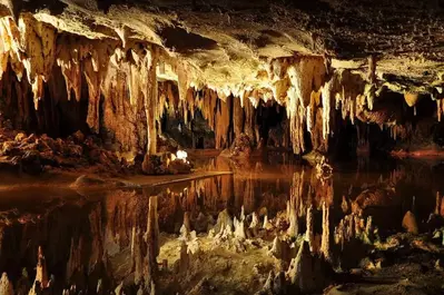 Forbidden Caverns Smoky Mountains attractions