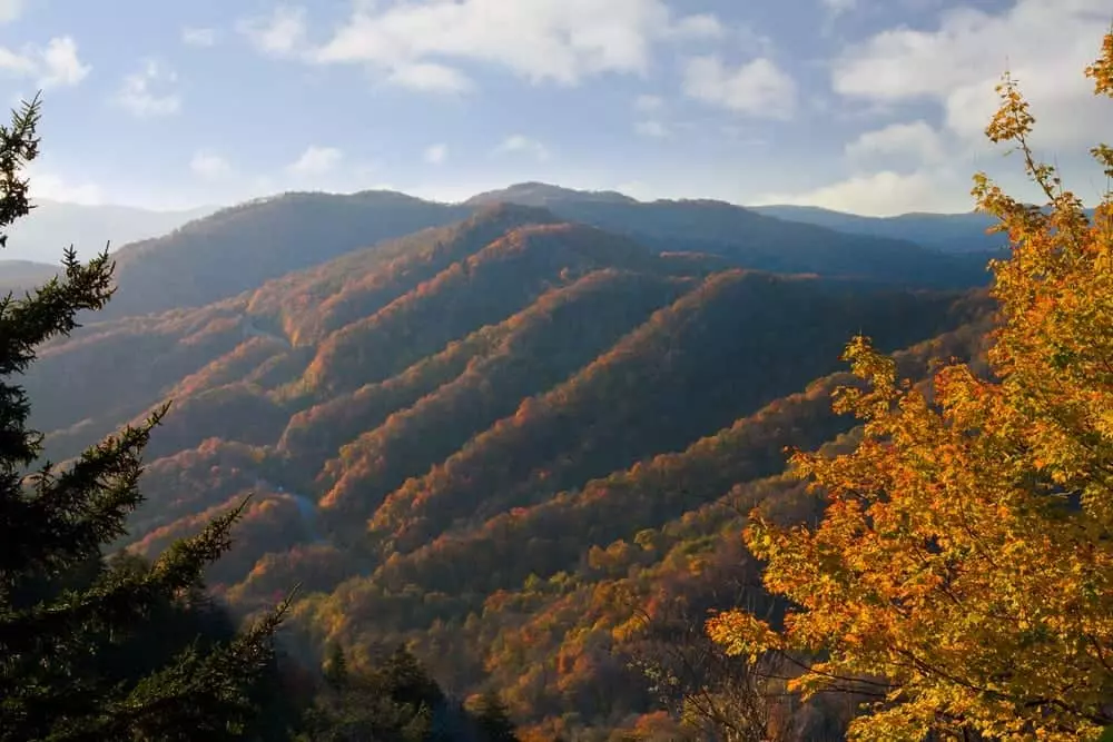 Breathtaking photo of the fall colors in the Smoky Mountains.