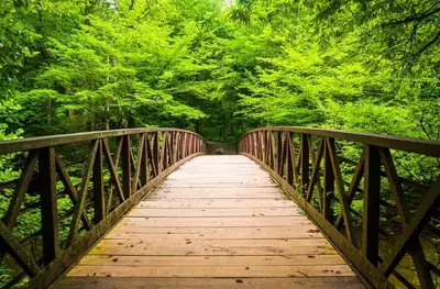 scenic views of Smoky Mountains hiking trails