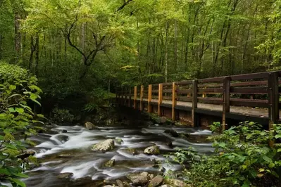 A bridge over a stream in the smoky Mountains.