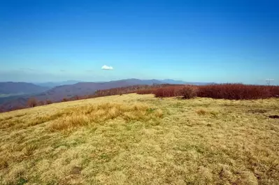 Gregory Bald Smoky Mountains hiking trails