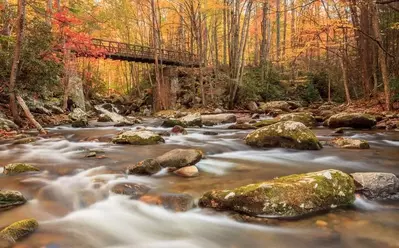 a river and fall foliage in the Great Smoky Mountains