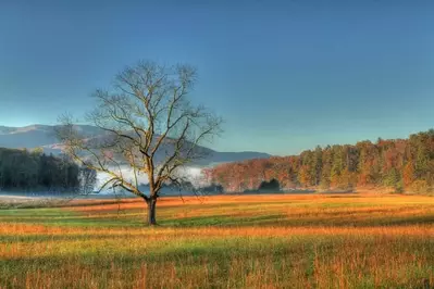 Cades Cove in the Great Smoky Mountains