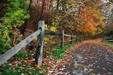 paved fall Smoky Mountain hiking trail
