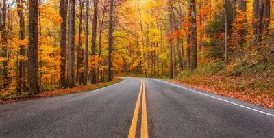 fall drives in the Smoky Mountains