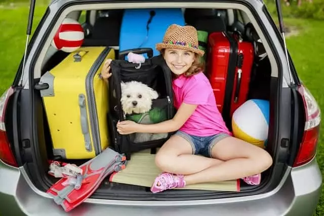 girl in the back of car with dog on their way to a pet friendly Gatlinburg cabin vacation