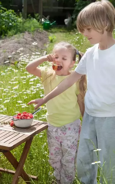 eating snacks on Smoky Mountain vacation with kids