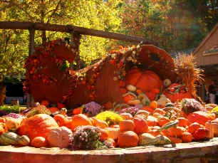 Harvest decoration at Dollywood