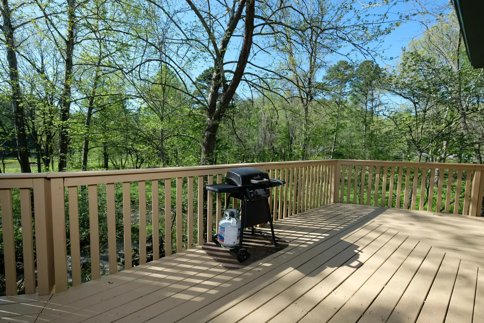 SHADYBROOK