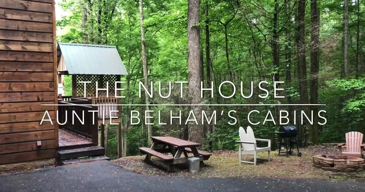 1 Bedroom Cabin Rental in Sevierville The Nut House